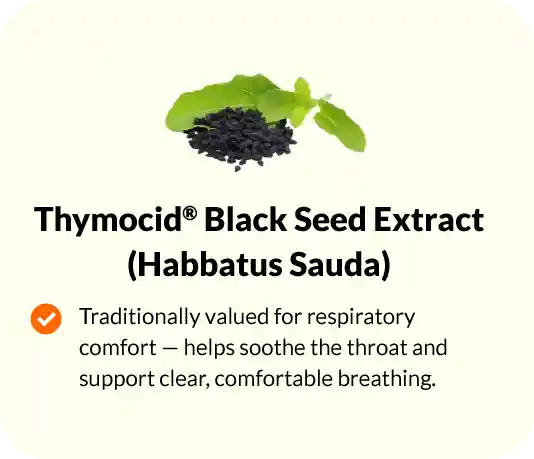 Thymocid Black Seed Extract (Habbatus Sauda)